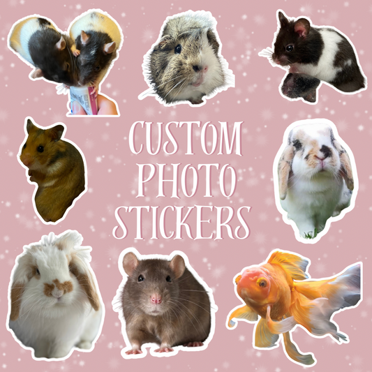 Custom Shape Vinyl Photo Stickers