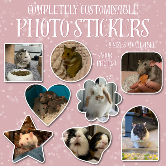 Shaped Photo Stickers