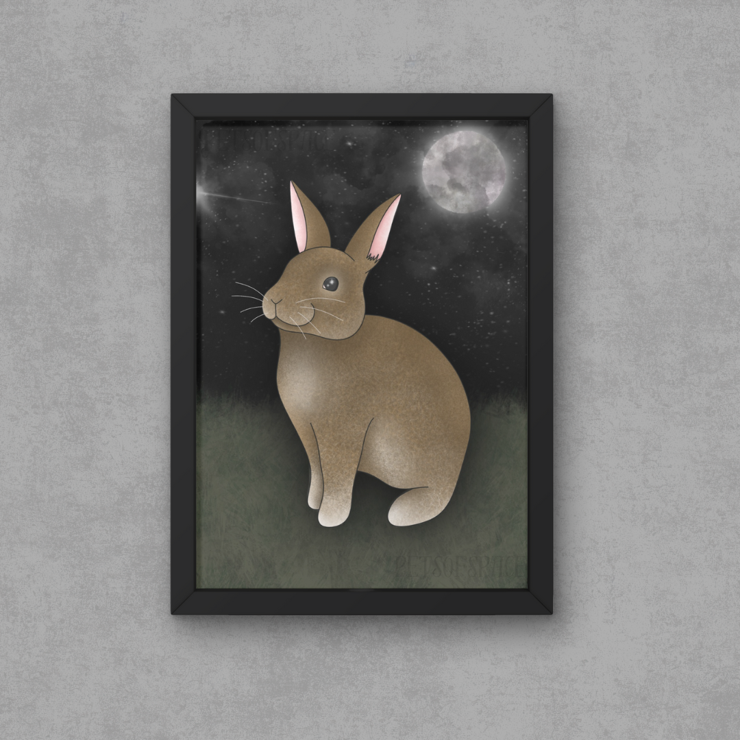 Stargazing Bunny Art Print